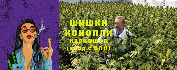 2c-b Белокуриха