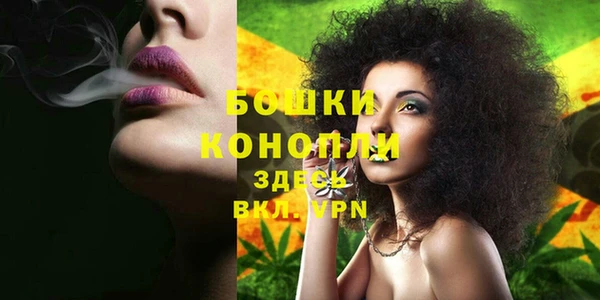 2c-b Белокуриха